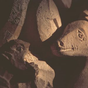 Carte Postale « Cerf » Basilique de Vézelay