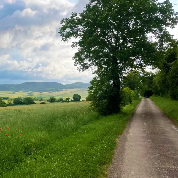 randonnée à Vézelay
